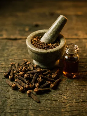 Clove