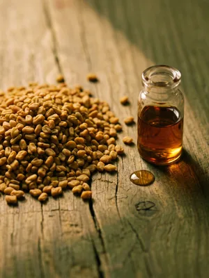 Fenugreek Oil