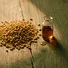 Fenugreek Oil