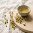 Chamomile