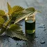 Nettle Oil